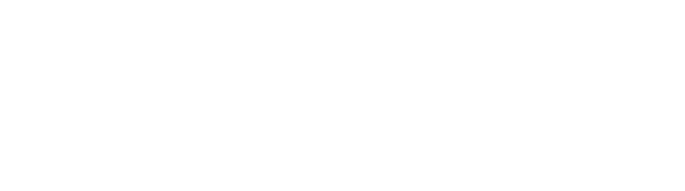 Vera Cruz Logo